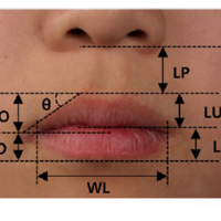 ������Ų��ܣ�����Ҳ��Խ��Խǳ����