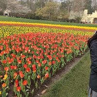 �ʻ�����