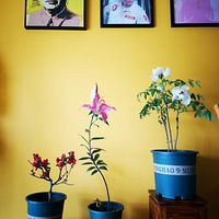 ��ǰ˫ʮһ��Ķ������ˣ�����ɶʱ�򿪻�����