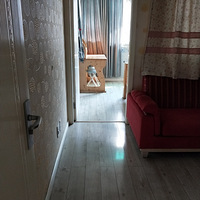 ����ŵ��´嶫49��������������ѧ������������ֱ��