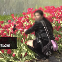 ̫����������㱻�������οͣ������˲ȹ���ƾʲôֻ���ҳ�����