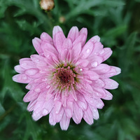 �����죬Ψ���������Ĳ��ã�