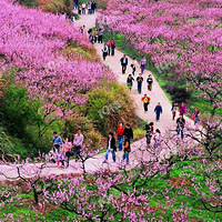 ͩ®ȫνɽڵӳ֡һˡŶ~