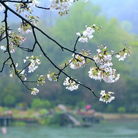 ���ݡ������ܵ�������ӣ���ܵ�����Щ�ط��Ļ���������