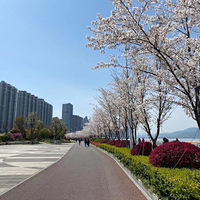 �����������ã�ɹ̫��