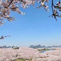 ���ݰ�˳ƽ��ӣ����