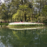 ̫���壬��������