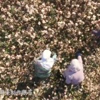 ��֪ʶ����������޻����