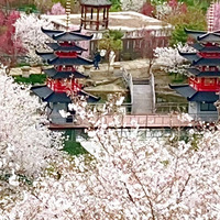 ӣ����������