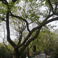 ����_һ���˿�