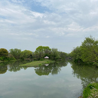 һ��һ�ȵĻ����ڣ�