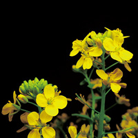 �����˲��ܳ��ˣ��²��˳������������ˡ�