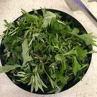 �������778