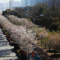 ��������ӣ��������12����ӣ�ص㹥���㲻�ܴ���