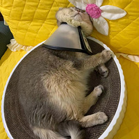 ��Ȧ�ˣ���л19¥������һ·�����