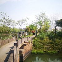 ����һ���磬�ջ������飬ֻ������������