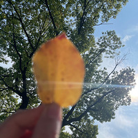 ֽ�����á�