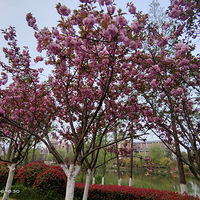 �Ӱ����䵽��ڣ����������˶�