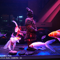 ������̹ʱ��