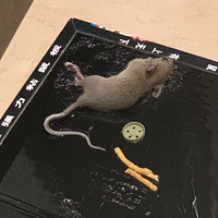 һ�и��ƺ�����˾��ڳ�����������ȴ��Ϊ��Щϸ�ڳ���