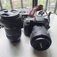 �����������ν���5