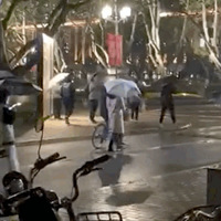 10����Χ�۵�ֱ��������ż�������İ���С����������