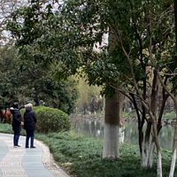 ����ͻȻ�Ҳ������ˡ������ݹ�����·�������������̣�������1