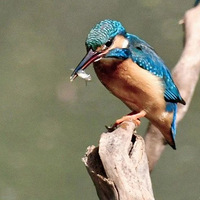 ������⣬�����շ�ʱ���ˣ����û�ϳ����������