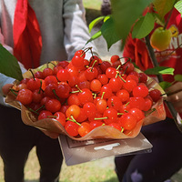 ��ӣ��Ϊ�����캼ѧ��������Ľ