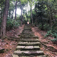 С���������˺󱻰���Χ�����绰�����ѣ�Ů���Ĳ�����ѡ