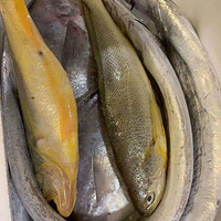 200Ԫ/������˰��Ե�������ζ������ȫ��ϵ�