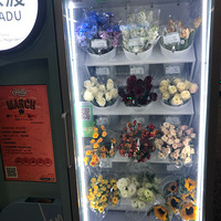 ����վ-�ʻ�������������