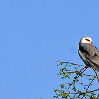 ������У�ȫ��ȡ���仧���ƣ��������