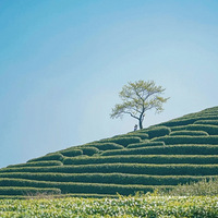 ��Щ�������ĵأ����ݱ����˶���֪����