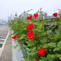 ����132����߼��¼����ˣ����ѣ���ÿ��³�����