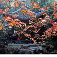 ������������������ţ�һ�����߲��ˡ������������