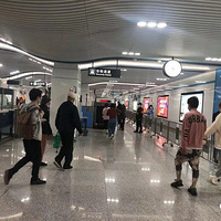 �㽭һ����24Т���������飬�����������ڴ��У������˿��ܲ���