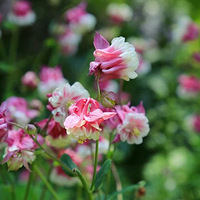 �����˼������죬��ȥ�����������������ٵĵط��򿨰�