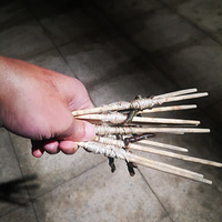 ֵҹ����������