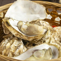 �˾�40+��5��С��Ϻ���������˸�ѹ��򺣬���ѣ�����壡