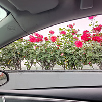 ԭ������ǿ�������