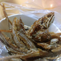 ���һ�������ϰٽ�����⼸��С������������꣬��Թ���