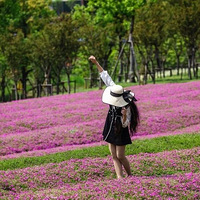 ����һС��������תվ����סլ¥�м䣬����ȴ˵��������ѡ��