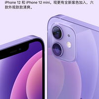 �¿�iPadPro�Ķ���