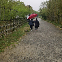 ��һ��֪������ȥ�����棿�������������ط�����