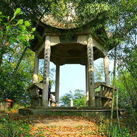 ����ߵ�����������ȥ������ʷ�ƾã��Լ�ֱ�ɽ���������ˣ�