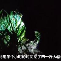 ��ҹ��40����������Ů������������