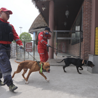 ���1ֻ��Ǯ����û�ҵ����ոգ���Ѱ��Ա�����������������ӷ���