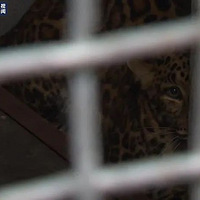 ���һֻ��Ǯ��������Ϣ���ˣ��ѱ�Ѱ�ص���ֻ�����ˡ���