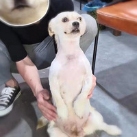 Ե������